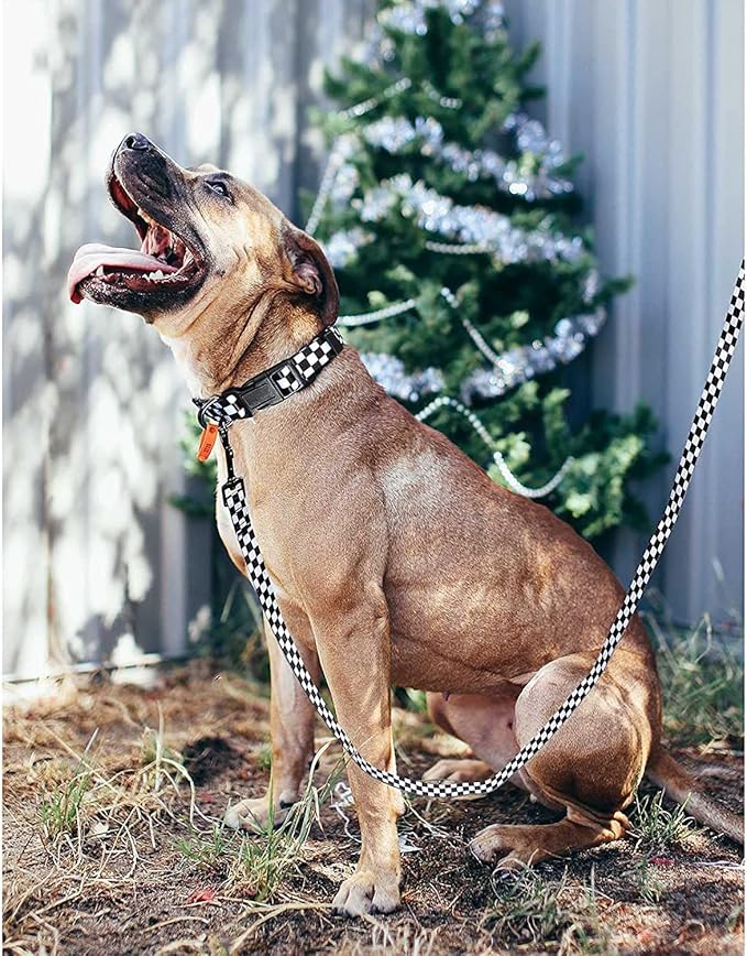 Roses&Poetry Dog Collar with Colourful Patterns, Adjustable Durable Puppy - Image 7
