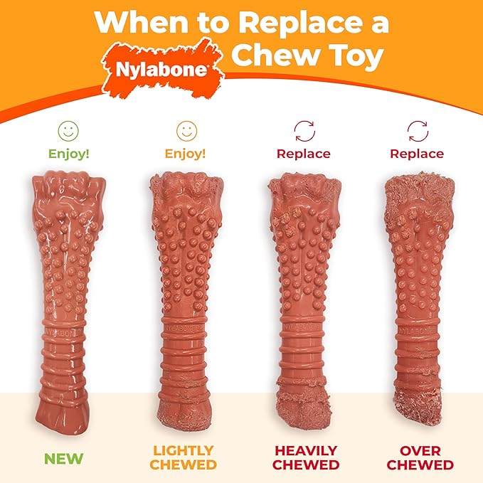 Nylabone Textured Bone Power Chew Toy - Image 7