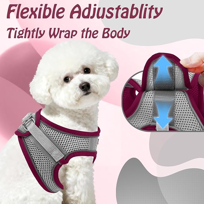 AIITLE Comfortable Dog Harness and Leash Set - Image 6