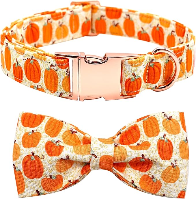 Dog Collar - Halloween Pumpkin Bowtie Dog Collar Gift Soft Bow Collar Pet by BoboRainbow