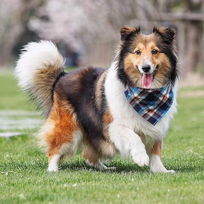 8 Pack Large Dog Bandanas, Reversible Plaid Dog Bandanas Boy Girl Painting Bibs - Image 6