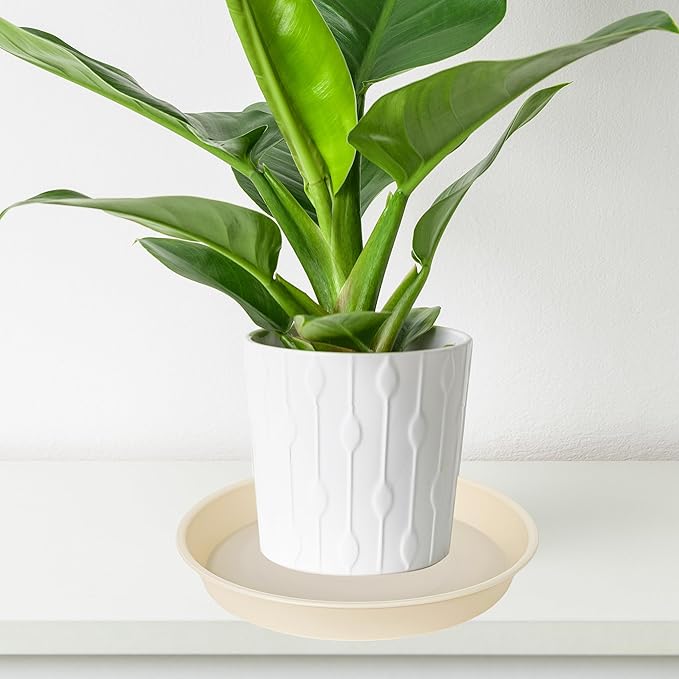 6 Pack of 7 inch Plant Saucer Clear, Heavy Duty Plastic Plant Water Tray 7 inch - Image 5