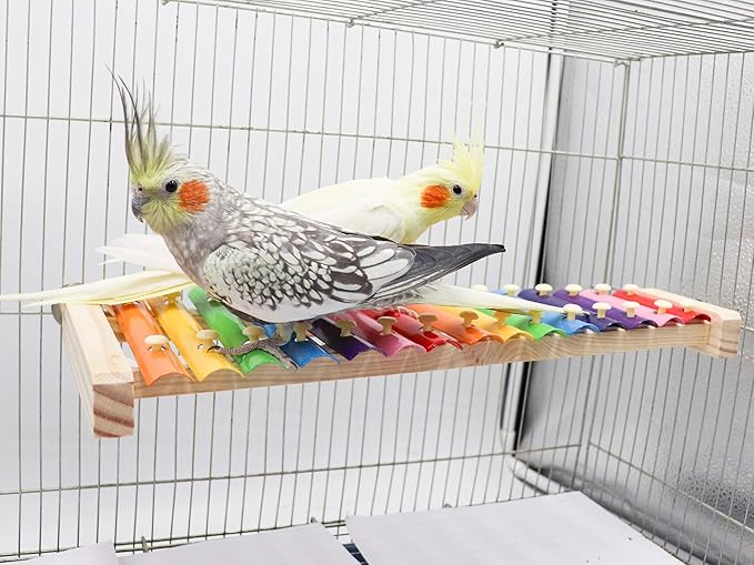 Dnoifne Colorful Bird Xylophone Toy, Funny Xylophone Toy - Image 3