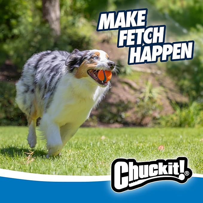 Chuckit! Ultra Ball Dog Toy - Image 8