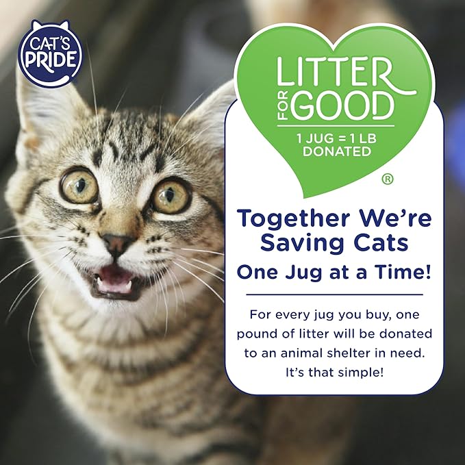 Cat's Pride Lightweight Clumping Litter: Flushable - Image 7