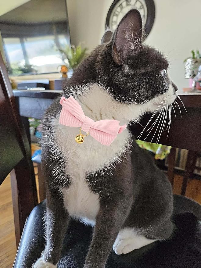 Cotton Breakaway Cat Collar - Image 4