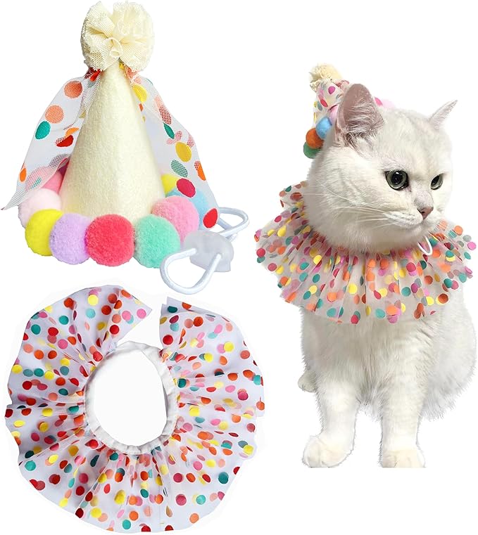 Cat Dog Princess Costumes Puppy Cat Birthday Bandana Scarf and Party Hat Cute by ROHOME
