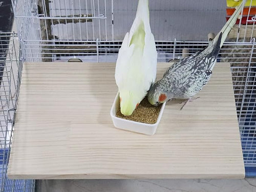 15.7×10.4 Inches Large Bird Perch Stand Platform, Natural Wooden Small Animals - Image 2