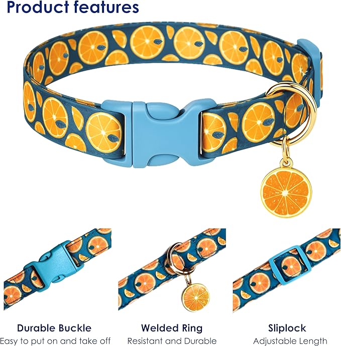 Cute Dog Collar Fruit Orange Pattern - Image 3