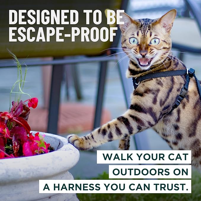 Houdini™ Escape Proof Cat Harness and Leash Set by OutdoorBengal – Orange - Image 2