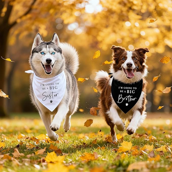 2 Pack Dog Bandanas for Pregnancy Announcement, I'm Going to Be A Big Brother - Image 6