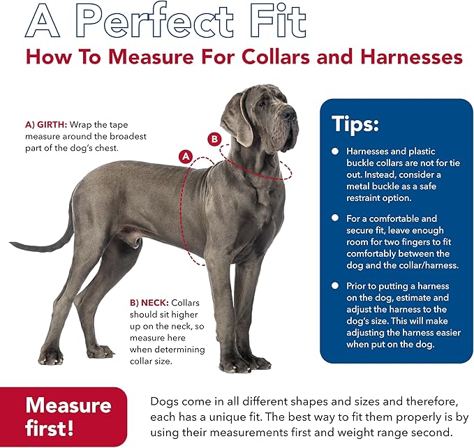 Coastal Pet - Check-Choke - Adjustable Check Training Collar - Image 7