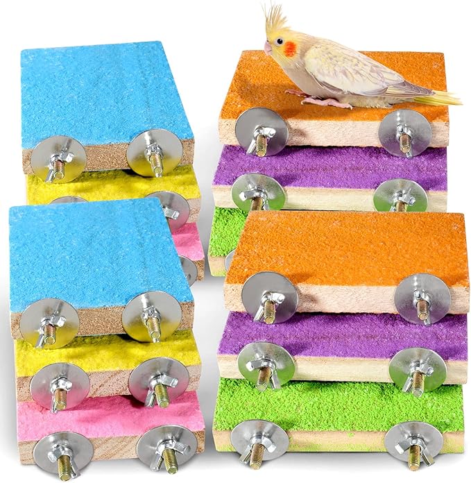 Reginary 12 Pcs Bird Perch Stand Toy Wood Parrot Stand Platform Colorful Paw - Image 2