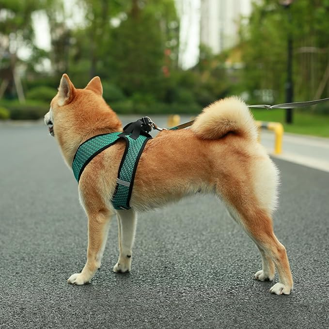 Best Pet Supplies - Image 6