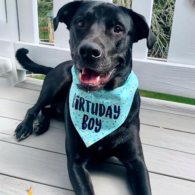 Birthday Boy Dog Bandanas 1 Pack, HBD Pet Scarves - Image 4
