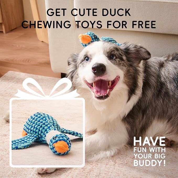 Homemate Dog Beds Large Sized Dog: 36x27 inch Orthopedic Large Dogs Bed XL - Image 2
