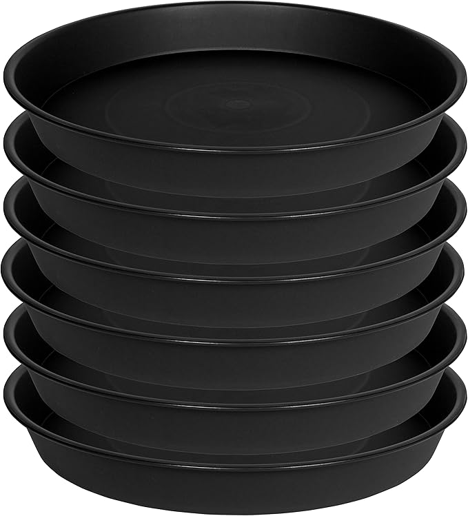 2 Pack of 8 inch Plant Saucer Clear, Heavy Duty Plastic Plant Water Tray 8 inch - Image 8