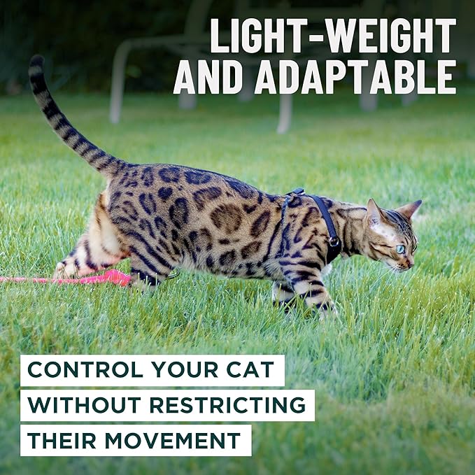 Houdini™ Escape Proof Cat Harness and Leash Set by OutdoorBengal – Orange - Image 7