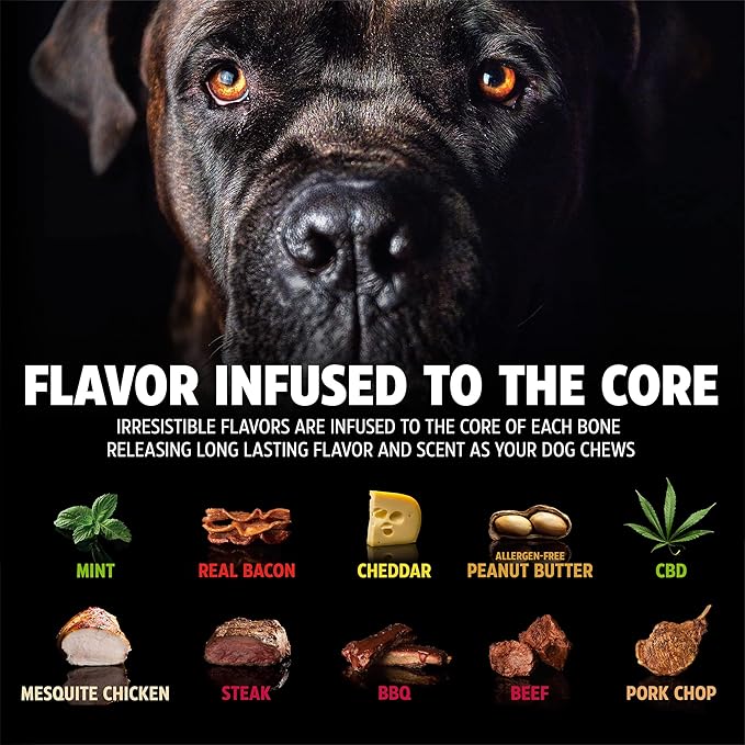 Pet Qwerks Original BarkBone - Image 5