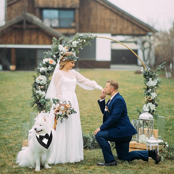 ADOGGYGO Formal Dog Tuxedo, Wedding Dog Bandana Collar - Image 3