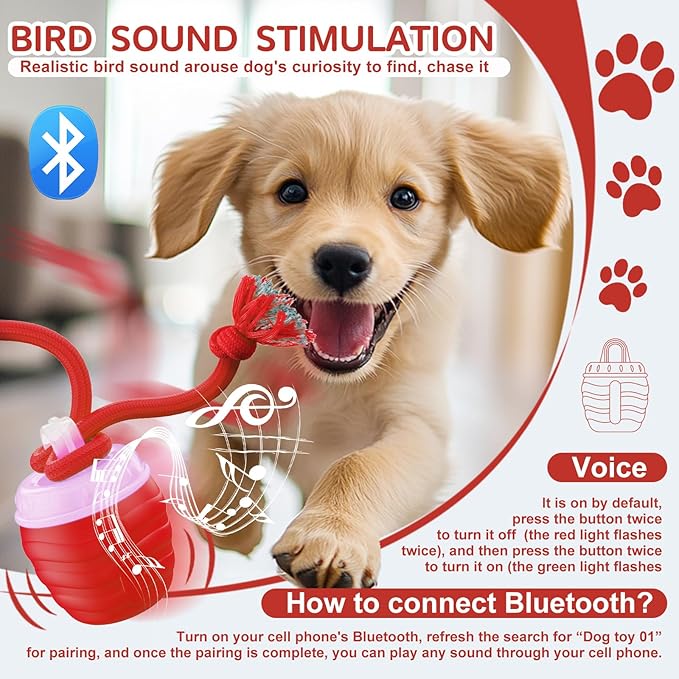 Interactive Dog Toy, Motion Activated Rolling Squeaky Ball - Image 4