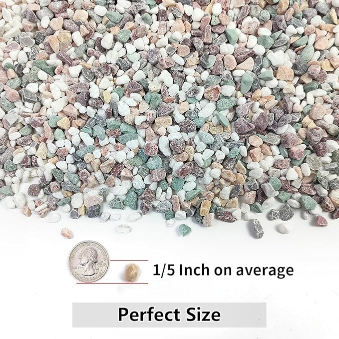 5LB Succulent and Cactus Gravel Pebbles, 1/5 Inch Natural Decorative Polished - Image 2