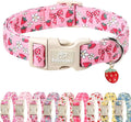Strawberry Bow Dog Collar for Small Dogs by Babolepet