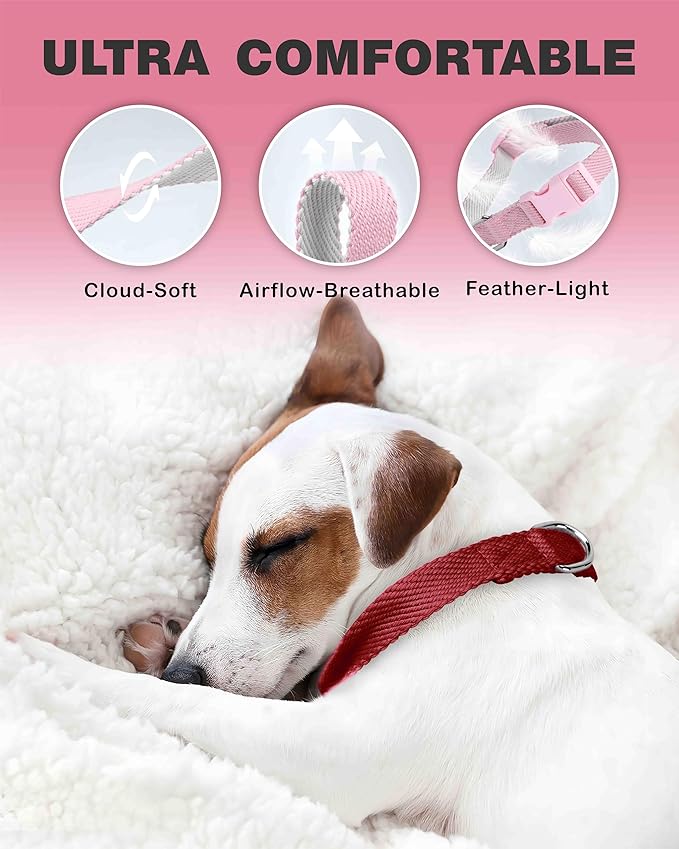 Dynmeow Soft and Breathable Cotton Dog Collar, Durable Adjustable Heavy-Duty - Image 3