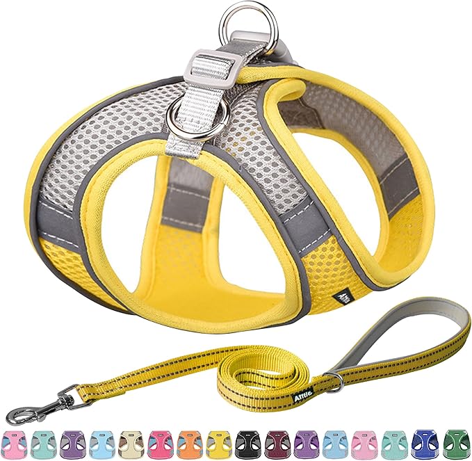 AIITLE Easy Walk Dog Harness and Leash Set by AIITLE-FORPETSBETTERLIFE