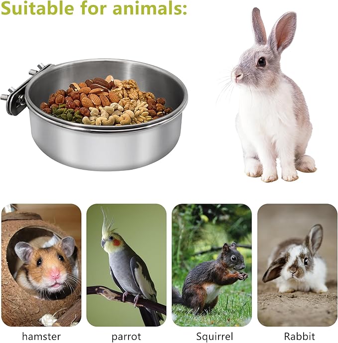 2 Pcs Small Bird Feeding Dish Cups, Parrot Food Bowl Cage - Image 4