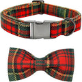 Dog Collar - Thanksgiving Turkey Dog Collar Bowtie Gift Soft Bow Adjustable by BoboRainbow