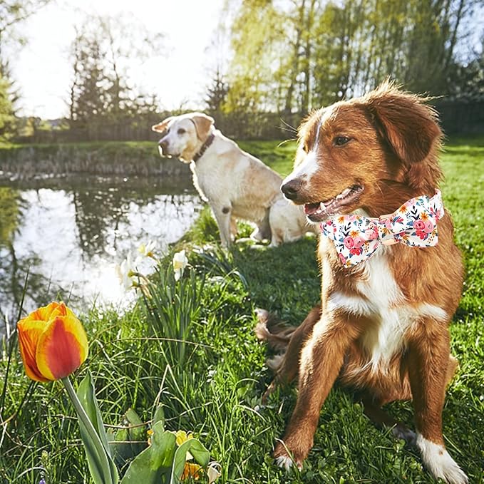 Lionheart glory Dog Collar Bow Collar Floral Dog Collar - Image 4