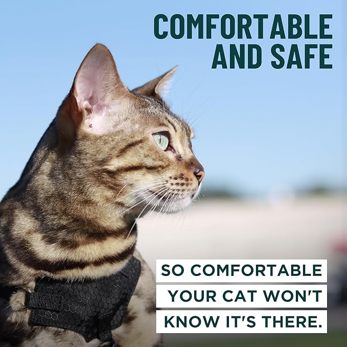 Houdini™ Escape Proof Kitten Harness and Leash Set by OutdoorBengal – Orange - Image 4