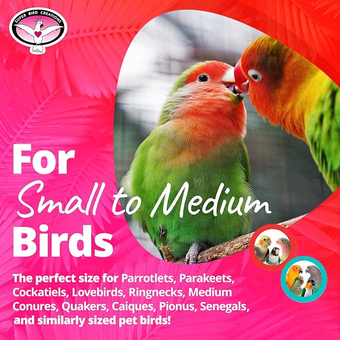 Super Bird Creations SB186 Vine Ball Candy Cane Bird Toy, Small/Medium Bird Size - Image 2