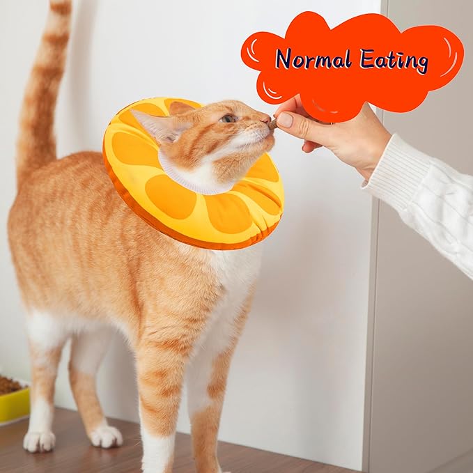 Cat Cone Collar Soft, Cat Recovery Collar - Image 4