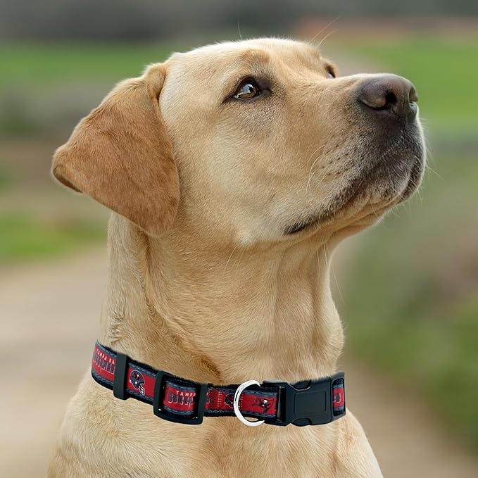 Pets First NFL Tampa Bay Buccaneers Licensed PET COLLAR, Large - Image 5