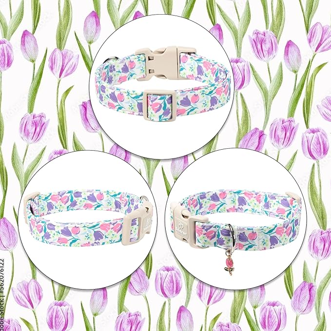 Floral Dog Collar for Medium Dogs - Image 7