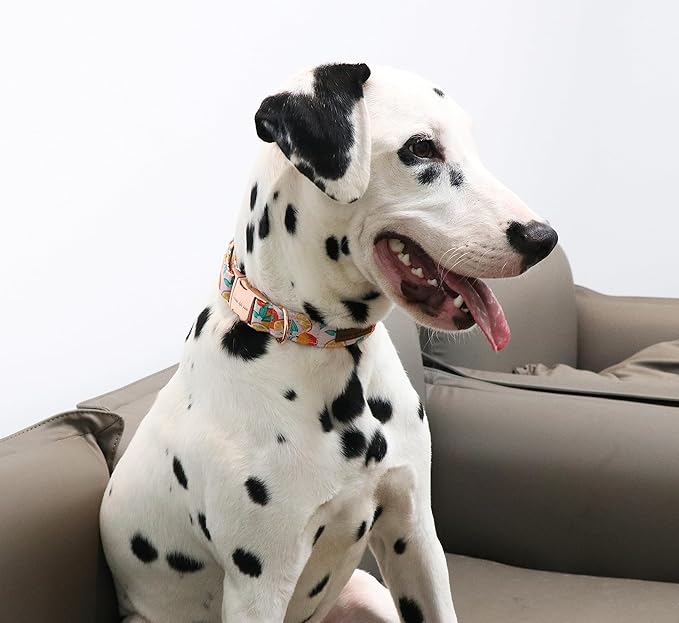 Unique style paws Dog Collar Metal Buckle Orange Collar Gift Durable Cute Collar - Image 5
