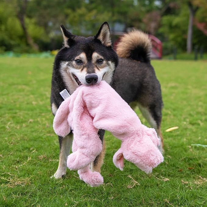 Best Pet Supplies Squeaky Dog Toys - Image 8