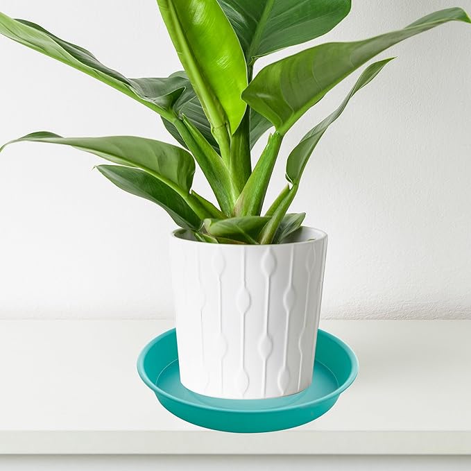 6 Pack of 12 inch Plant Saucer, Heavy Duty Plastic Plant Saucer 12" Round - Image 5