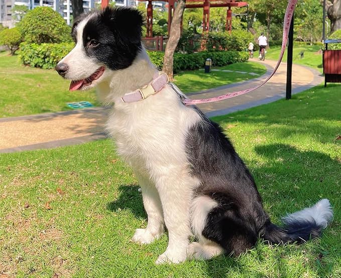 Soft Cotton Hemp Dog Collar - Image 8