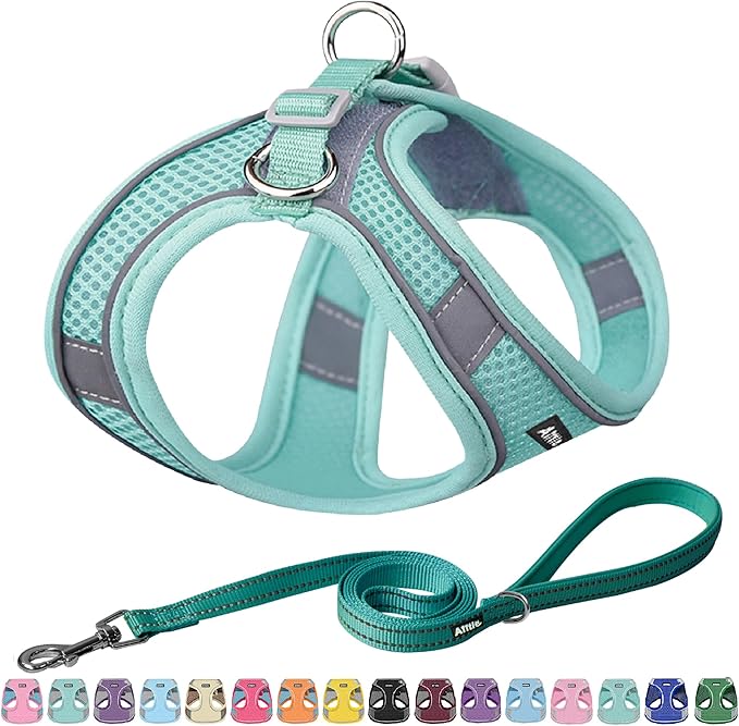 AIITLE Comfortable Dog Harness and Leash Set by AIITLE-FORPETSBETTERLIFE