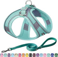 AIITLE Dog Harness, No-Pull Cat Harness by AIITLE-FORPETSBETTERLIFE