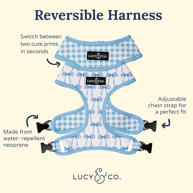 Lucy & Co. Cute Reversible Dog Harness Walking Halter - Image 4