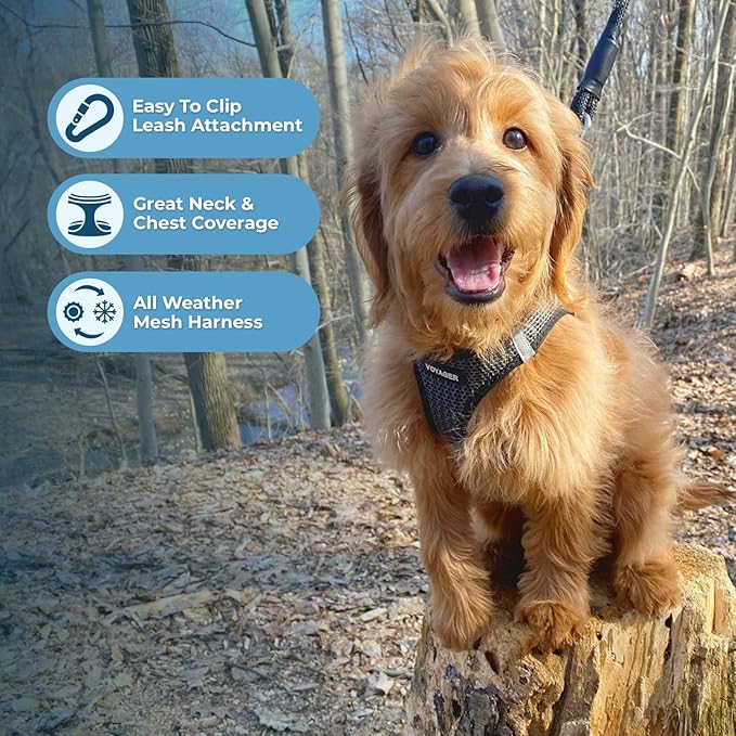 Best Pet Supplies Voyager Step-in Air All Weather Mesh Harness and Reflective - Image 6