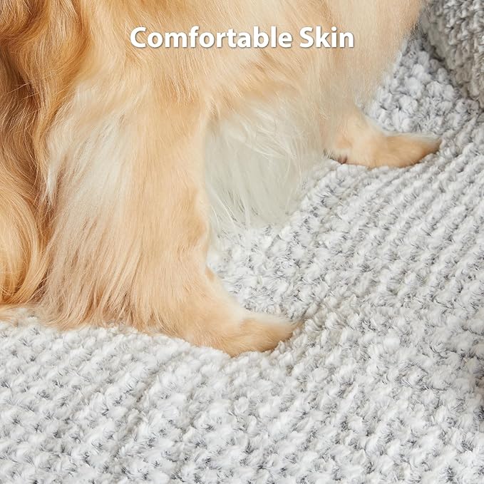 Orthopedic Dog Bed for Large Dogs, Egg Crate Foam Bed for Large Dogs, Equipped - Image 6