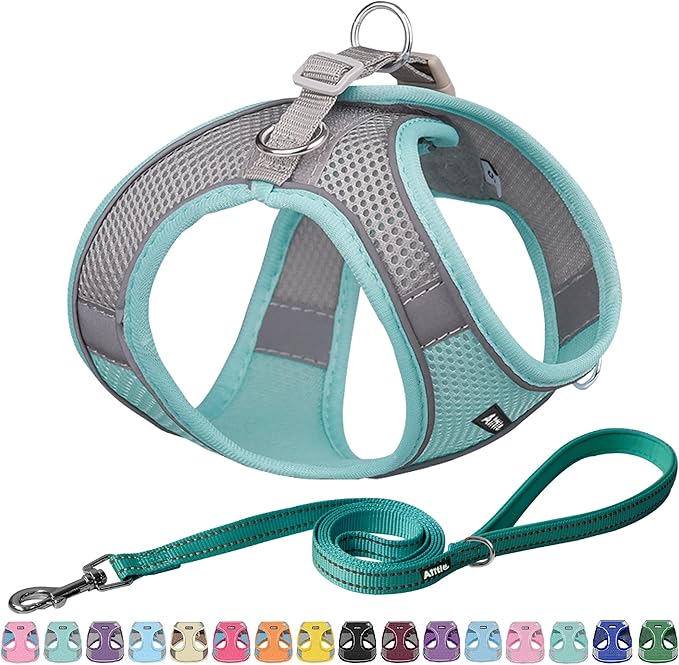 AIITLE Step in Dog Harness and Leash Set by AIITLE-FORPETSBETTERLIFE