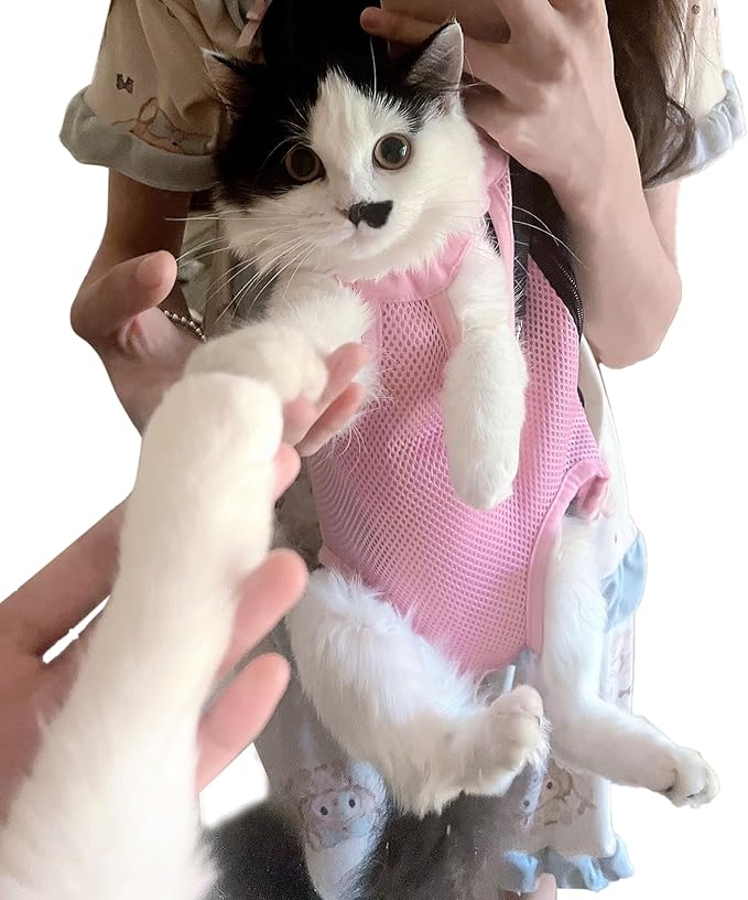 Pet Carrier Backpack - Image 5