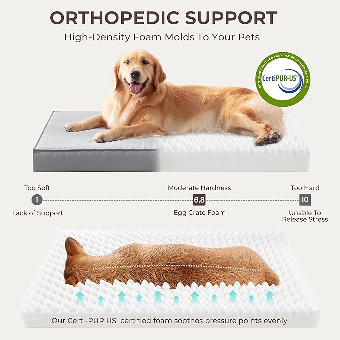 2-Pack Waterproof Dog Bed Medium Size Dogs, Plush Cushion & Orthopedic - Image 3