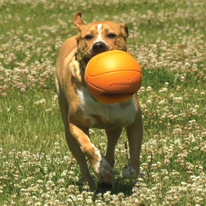 Nylabone Power Play Gripz Felt Basketball Rubber Fetch Toy, Squeaky Ball - Image 5